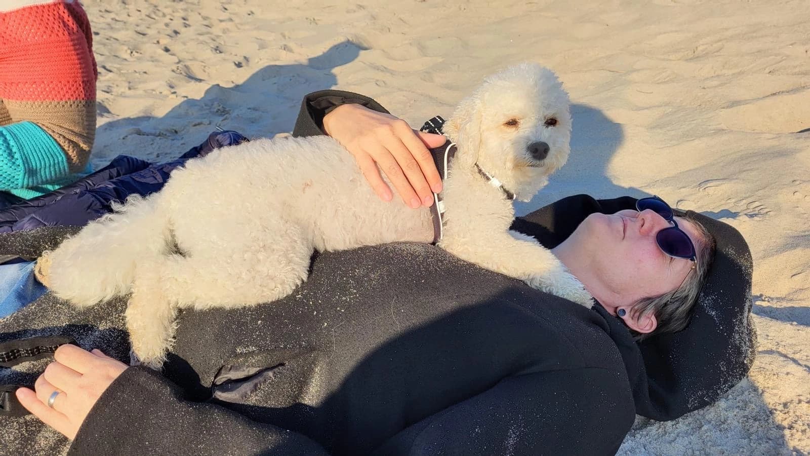 Willkommen bei Pfoten-Therapie
Nelly die Therapiehündin